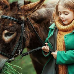 22. Posto in prima fila riservato ai bambini